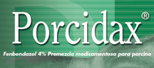 Porcidax
