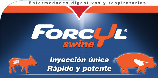 Cabecera Forcyl