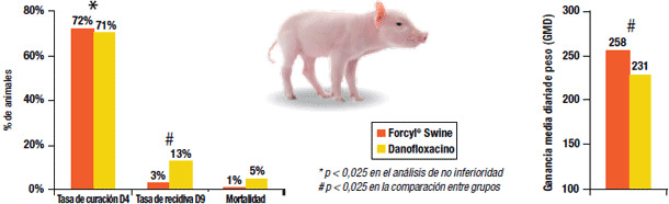 Forcyl® Swine en casos de colibacilosis: lechones más sanos y, por tanto, mayor crecimiento