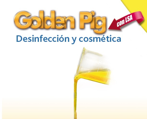 golden pig