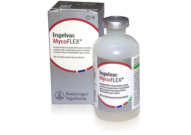 <strong>Ingelvac <span style="color:#FF0000;">Myco</span>FLEX</strong><sup>&reg;</sup>