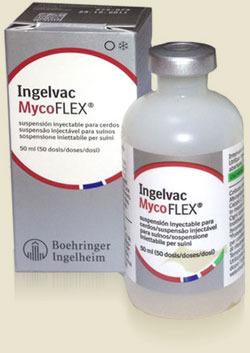 MycoFLEX 50ml