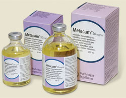 metacam 20 mg/ml