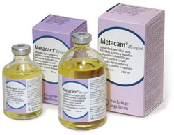 Metacam<sup>®</sup> 20 mg/ml