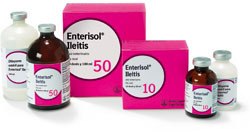 Enterisol<sup>®</sup> Ileitis