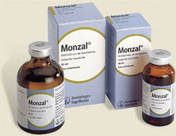 Monzal