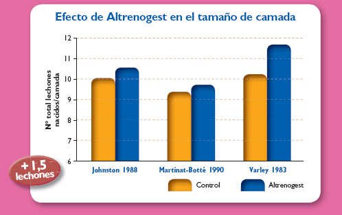 Efecto de Altrenogest en el tamaño de camada