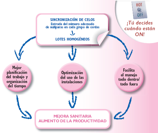 Sincronización de celos con Altresyn