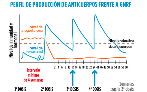 Perfil de anticuerpos