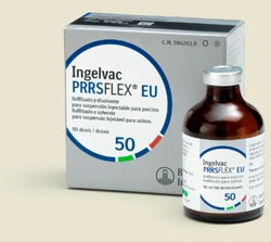 Ingelvac PRRSFlex EU