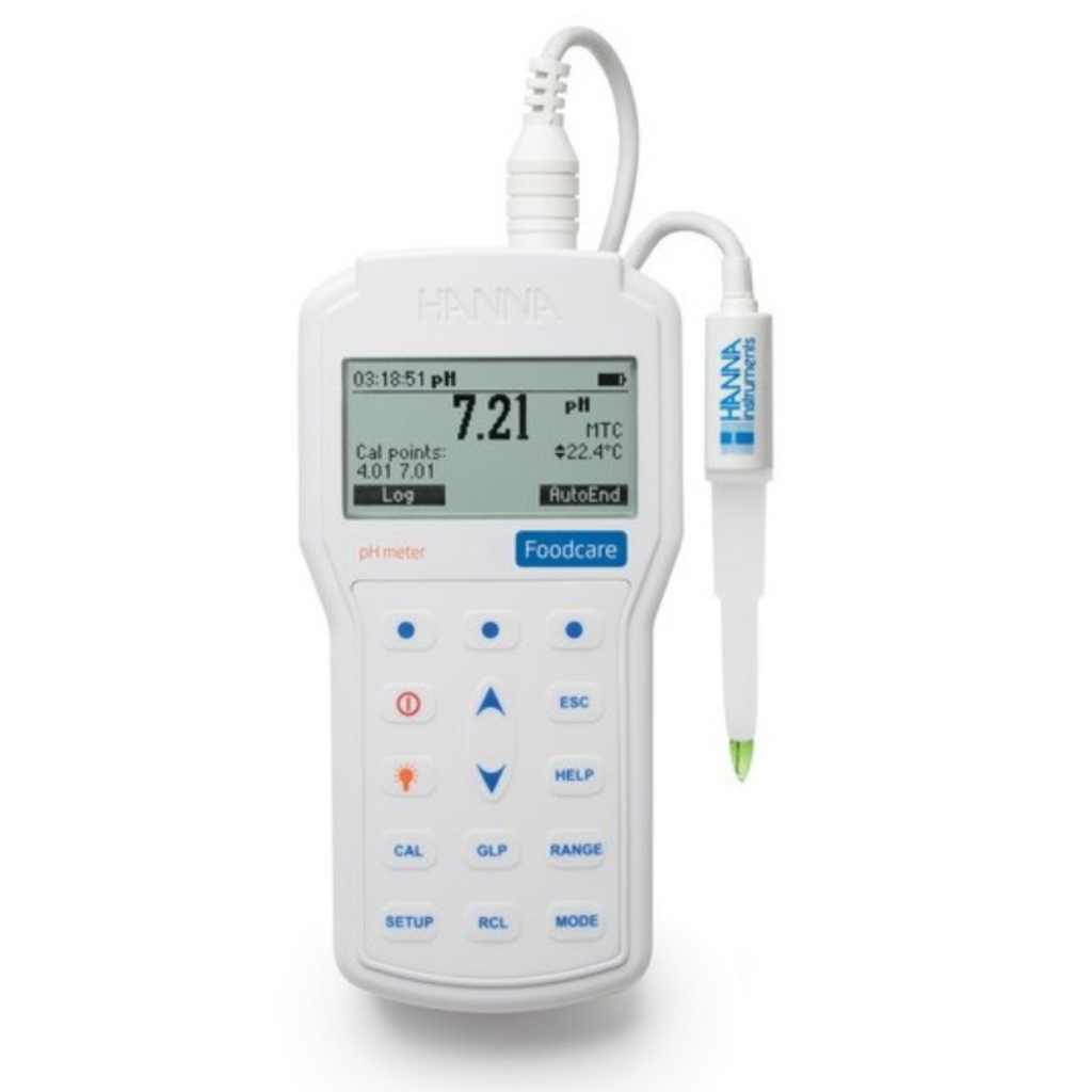 Hanna HI98161 portable pH meter (pH/ mV/ Temp), waterproof, recording with USB output, penetrating e