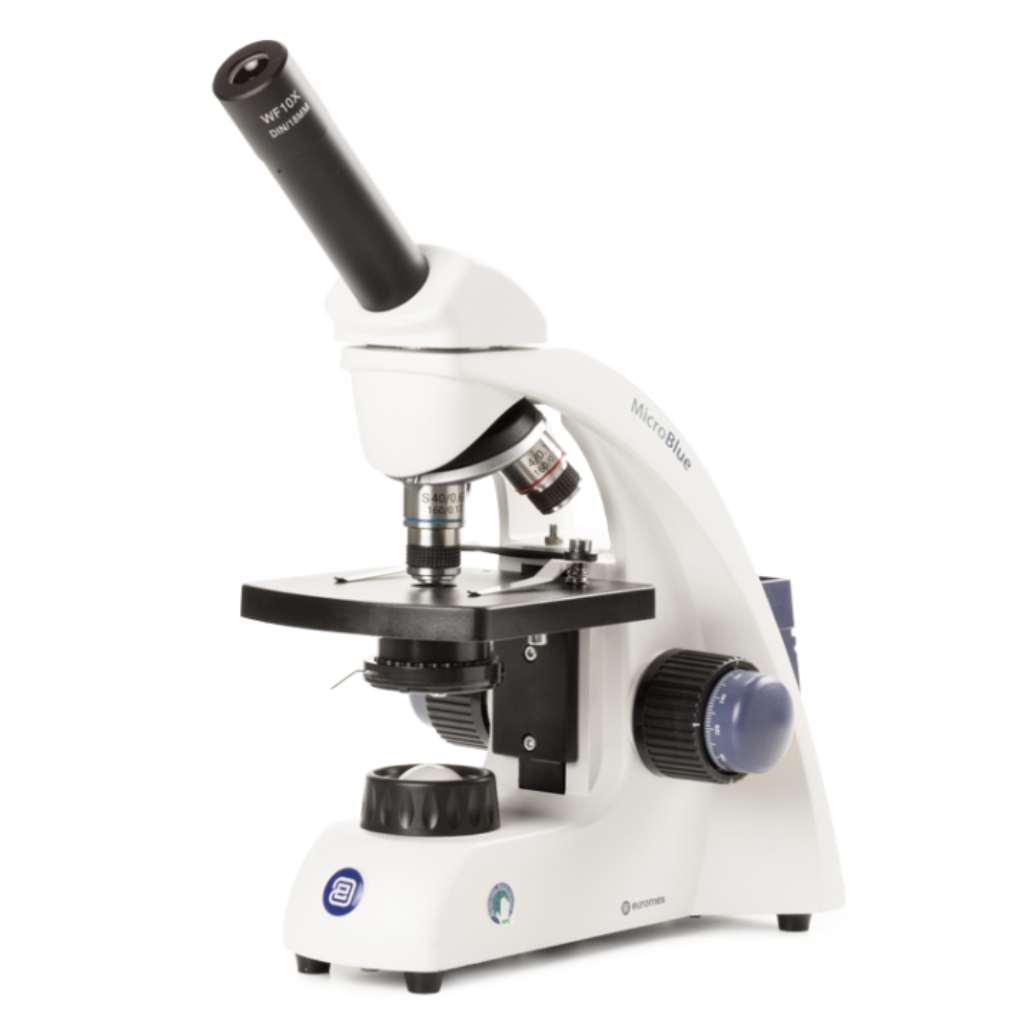 Microscopio Euromex MicroBlue
