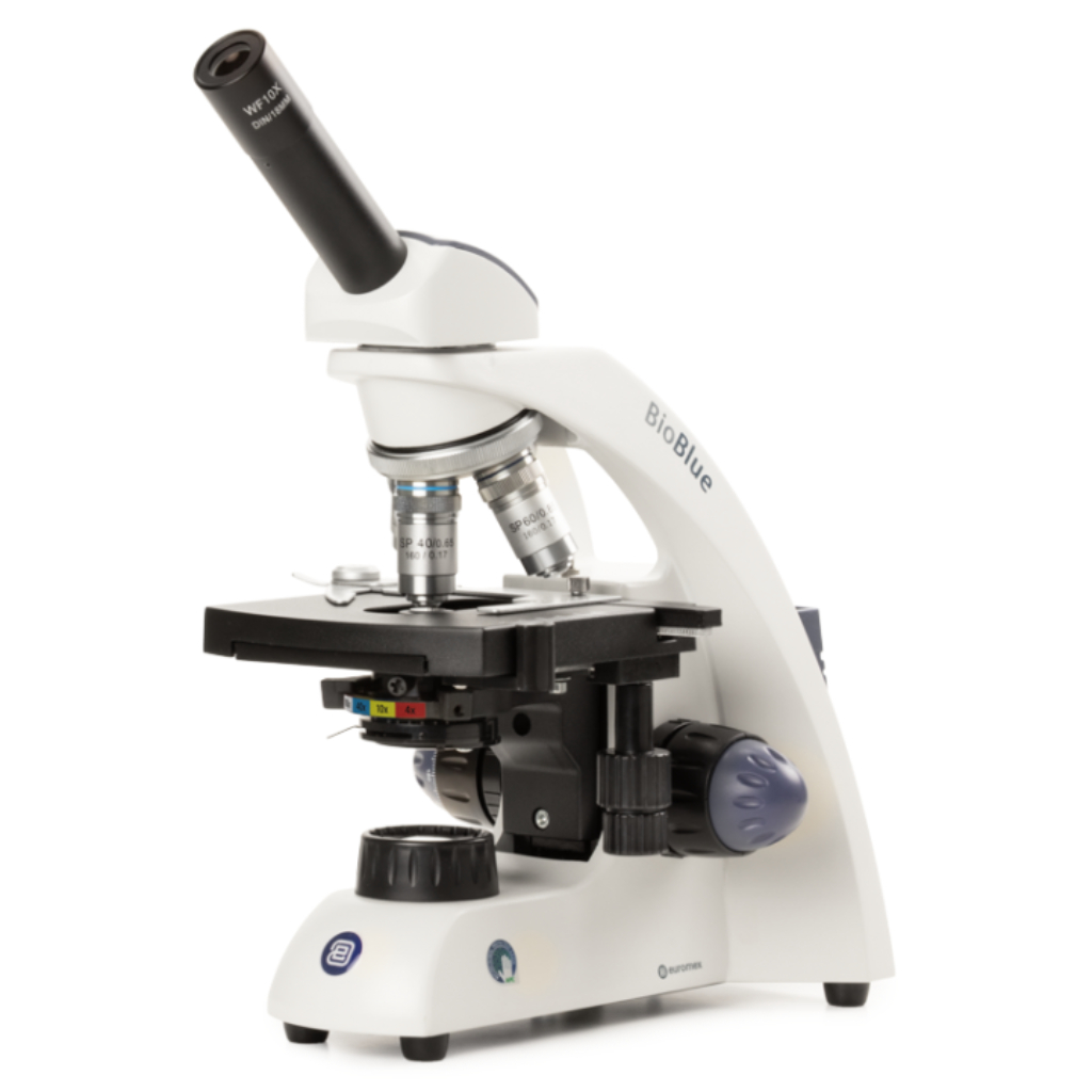 Microscopio Euromex BioBlue