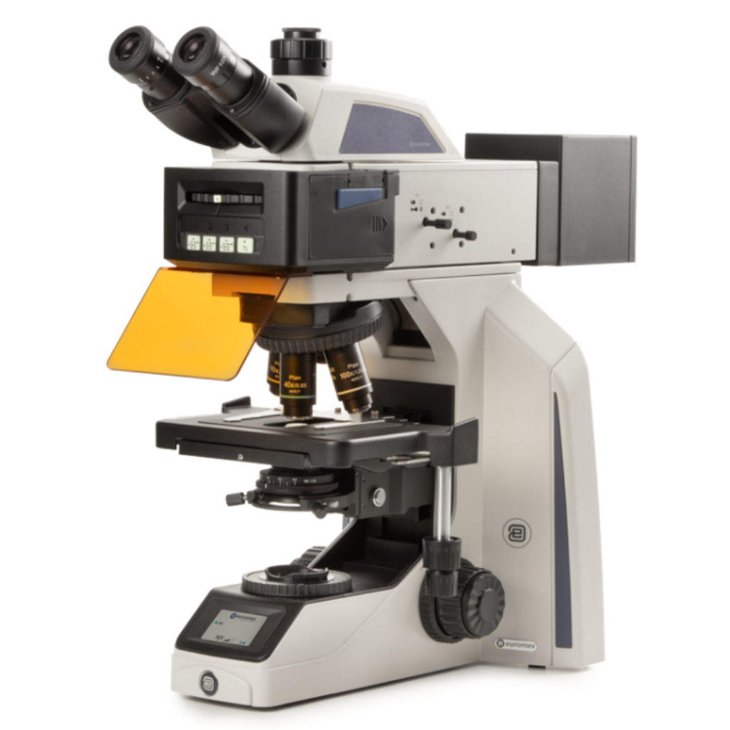 Microscopio Euromex Achios-X Observer fluorescencia