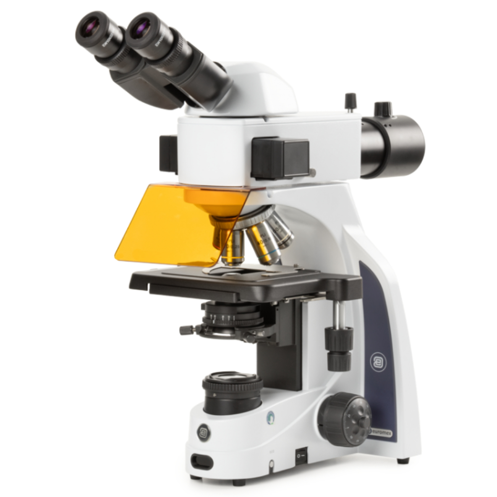 Microscopio Euromex iScope enfermedades infecciosas