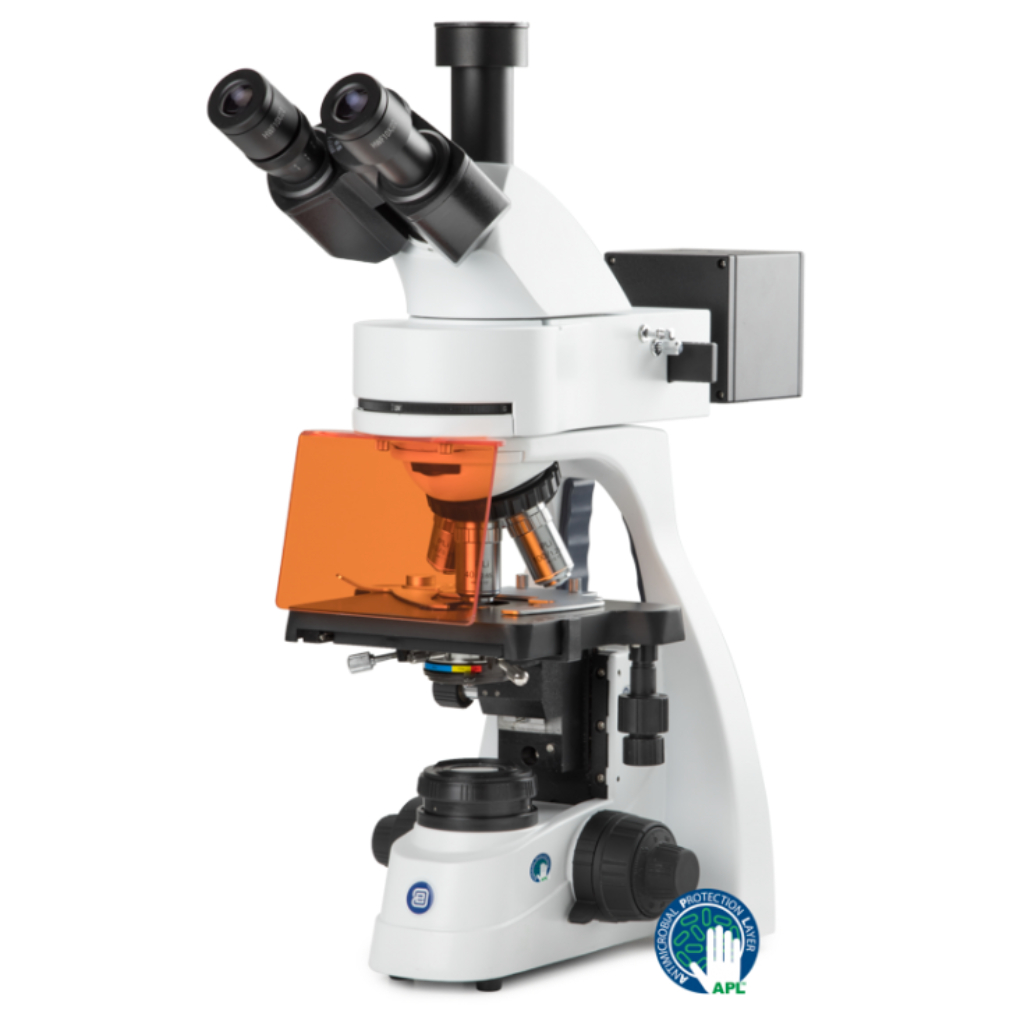 Microscopio Euromex bScope fluorescencia