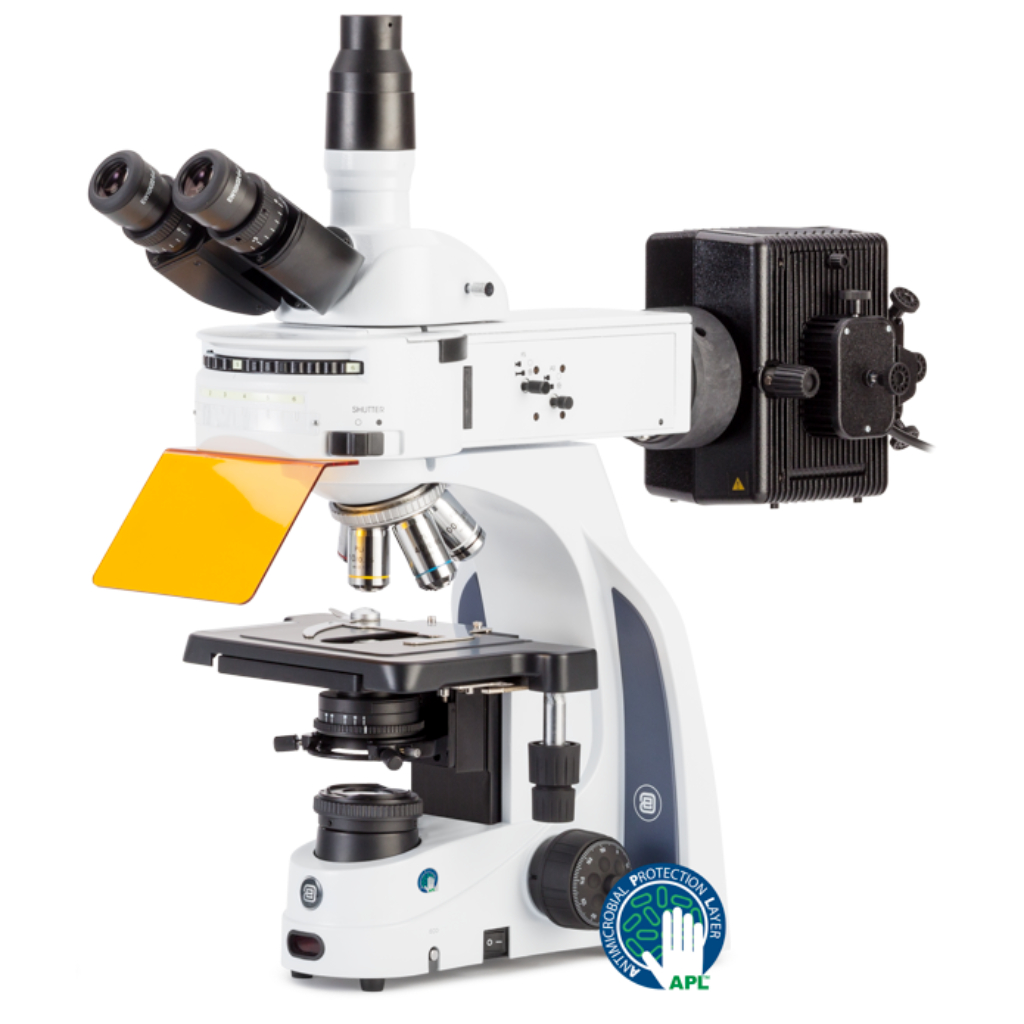 Microscopio Euromex iScope para Epi-fluorescencia