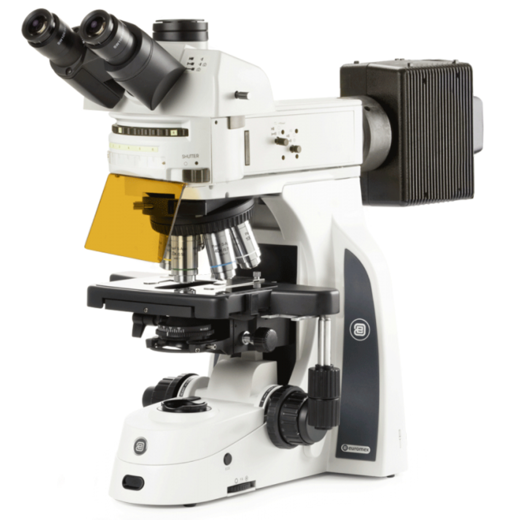 Microscopio Euromex Delphi-X Observer para fluorencia
