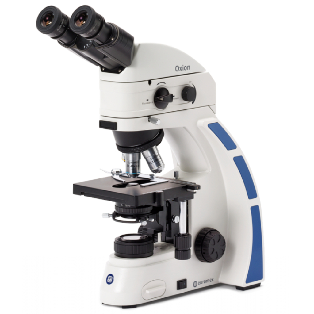 Microscopio Euromex Oxion para Epi-fluorescencia