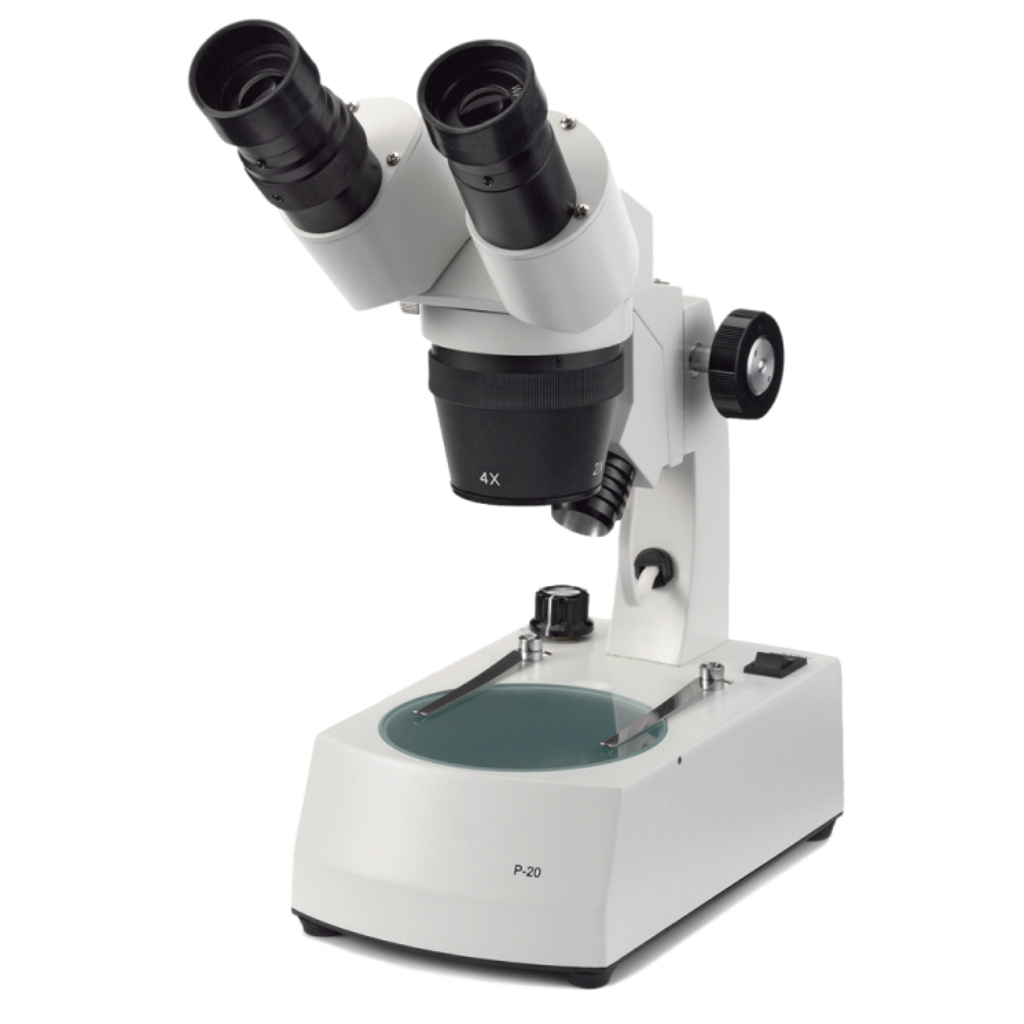 Microscopio Euromex Serie P