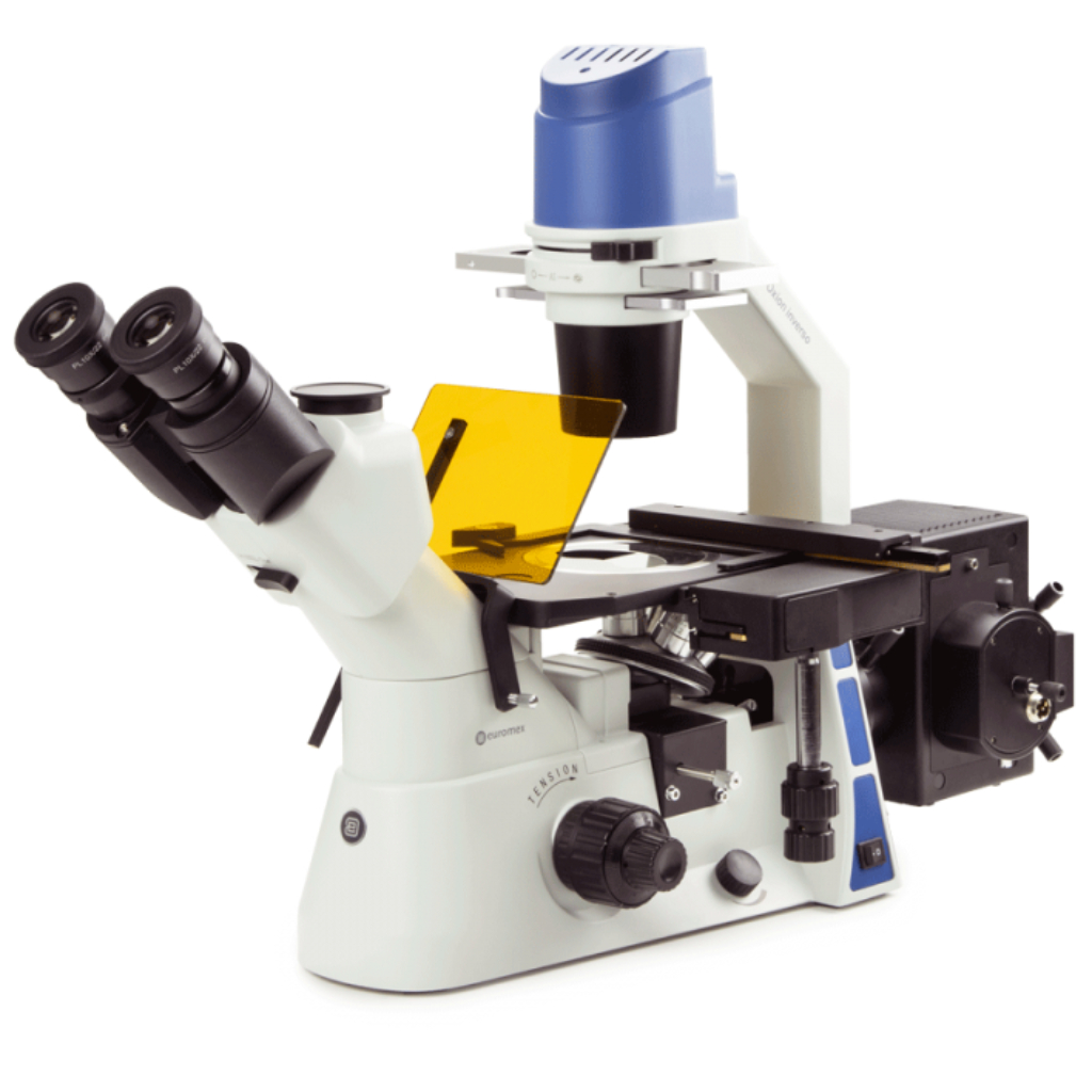 Microscopio Euromex Oxion Inverso (y fluorescencia)
