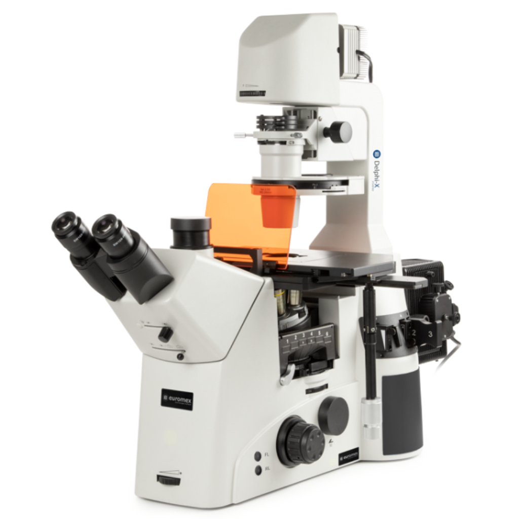 Microscopio Euromex Delphi-X Inverso para Fluorescencia