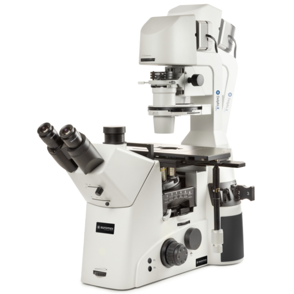 Microscopio Euromex Delphi-X Inverso