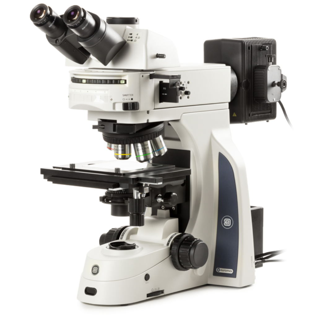 Microscopio Euromex Delphi-X Observer para ciencia de materiales (metalográfico)