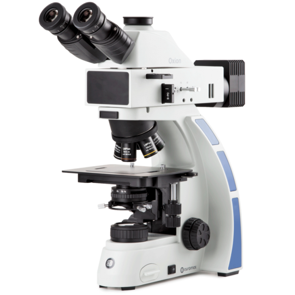 Microscopio Euromex Oxion para ciencia de materiales (metalográfico)