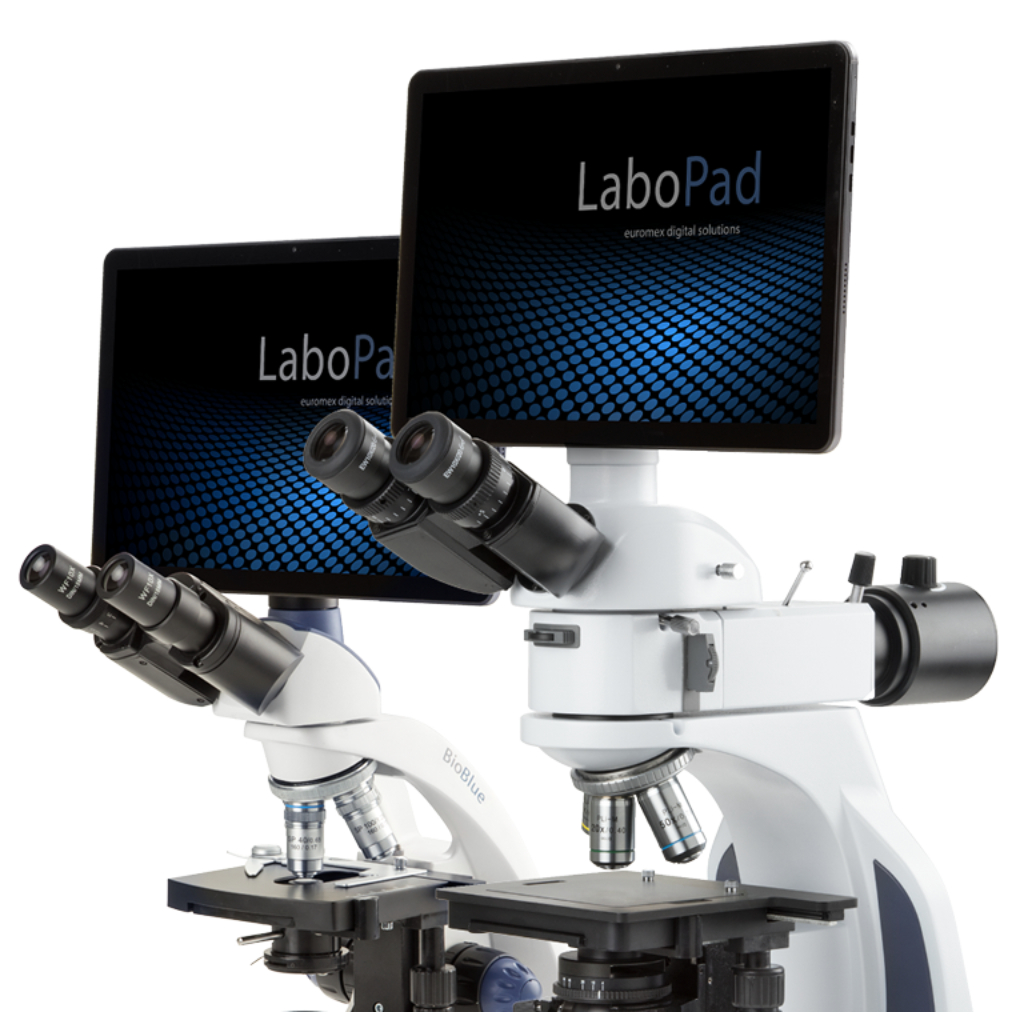Euromex LaboPad Sistema tableta con cámara 