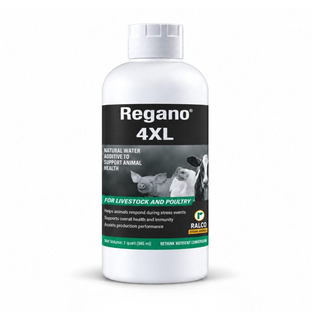 Regano® 4XL