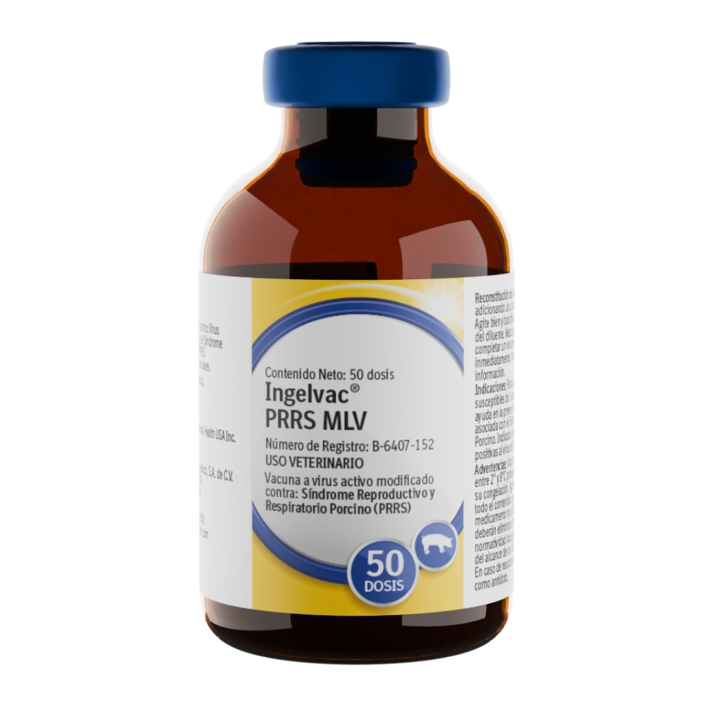 Ingelvac PRRS MLV