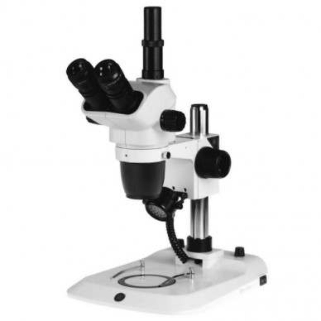 Microscopio EUROMEX NexiusZoom. Microscópio Estereoscópico trinocular 