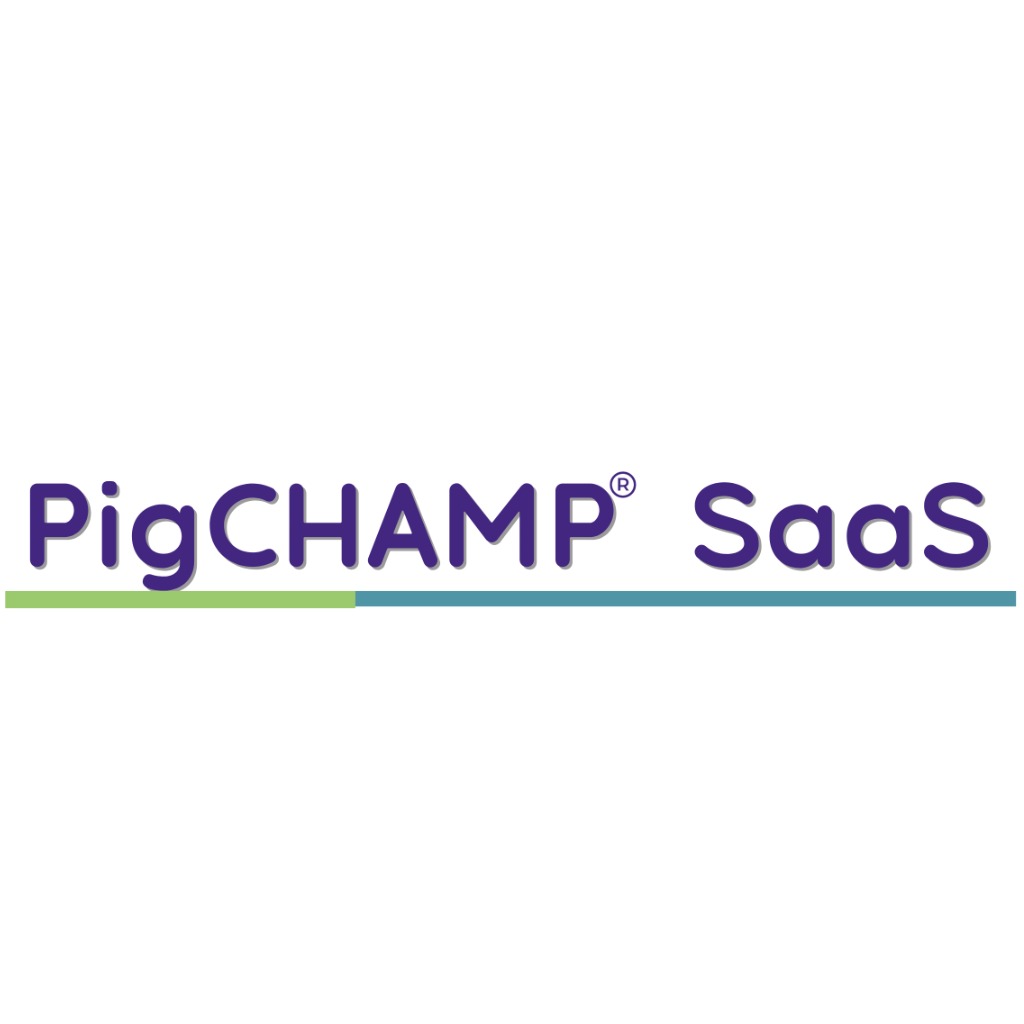 "PigCHAMP® Saas: La mejor solución para optimizar el rendimiento de sus reproductoras"