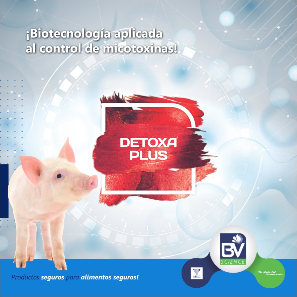 Detoxa Plus®