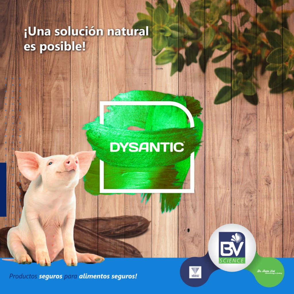 Dysantic®