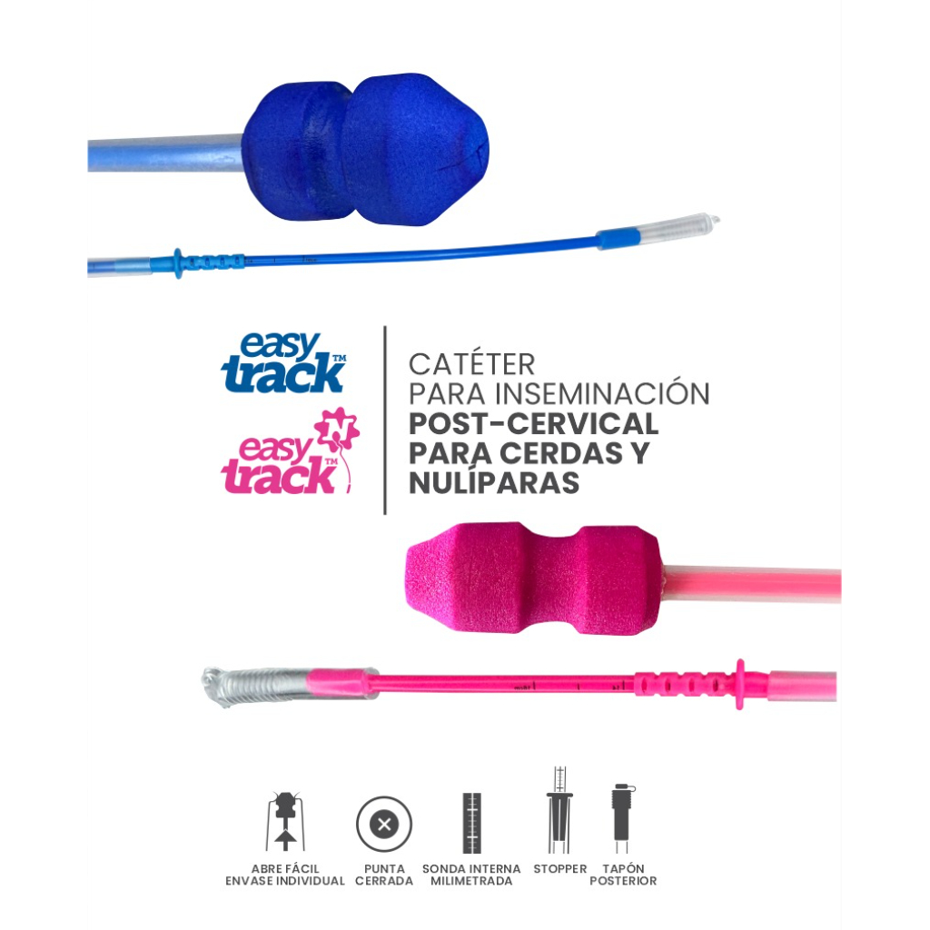 Catéter Easy Track Post-cervical