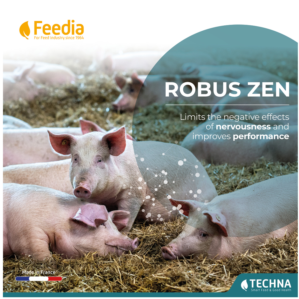 ROBUS ZEN 