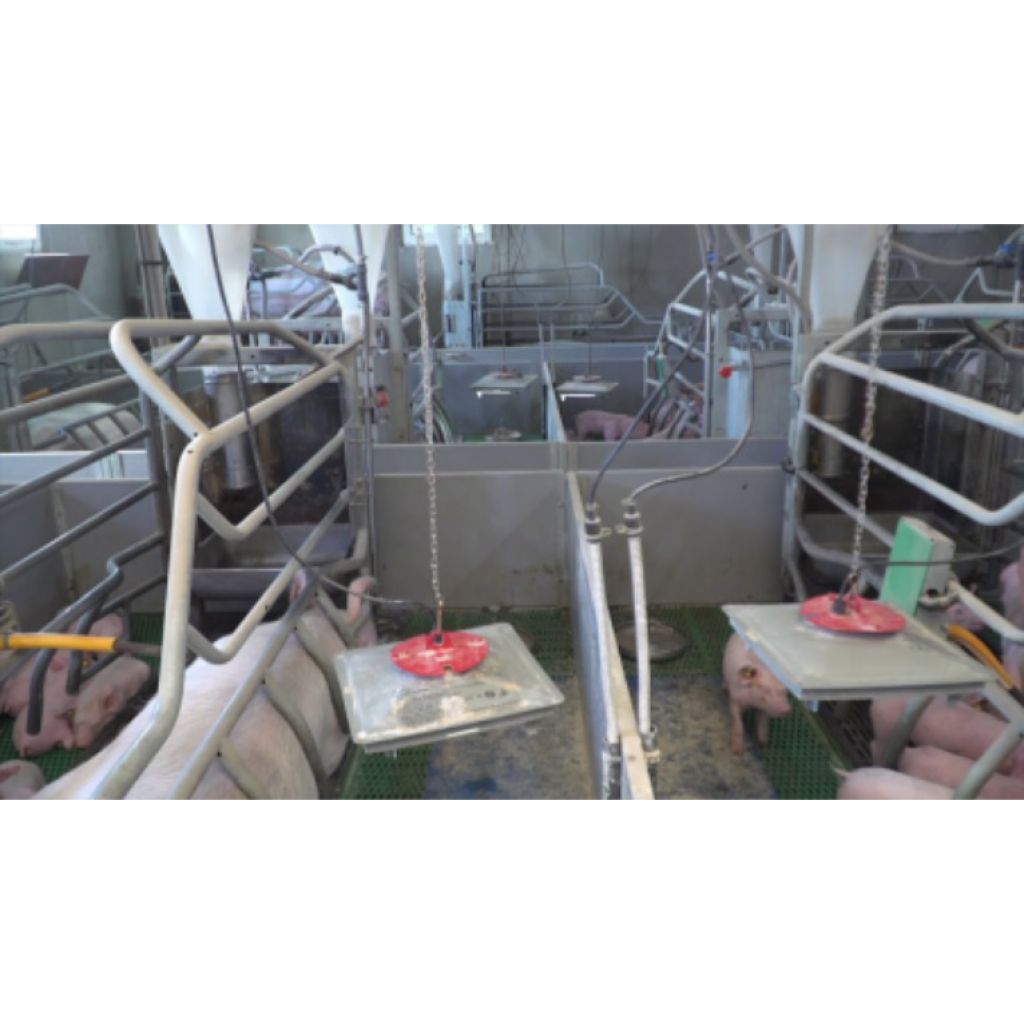 Sistema de aquecimento sem lâmpada Sun Skot