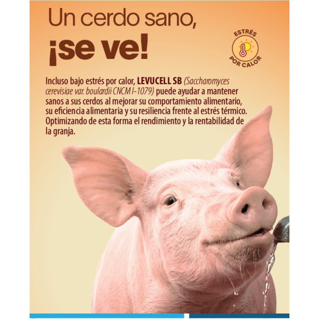 LEVUCELL SB