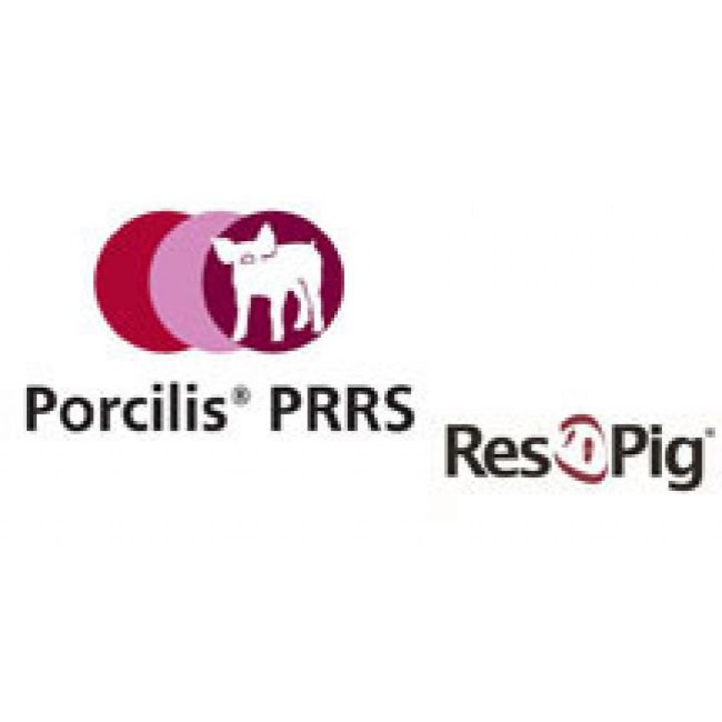 Respig: Porcilis<sup>®</sup> PRRS