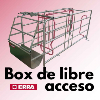 Box de libre acceso