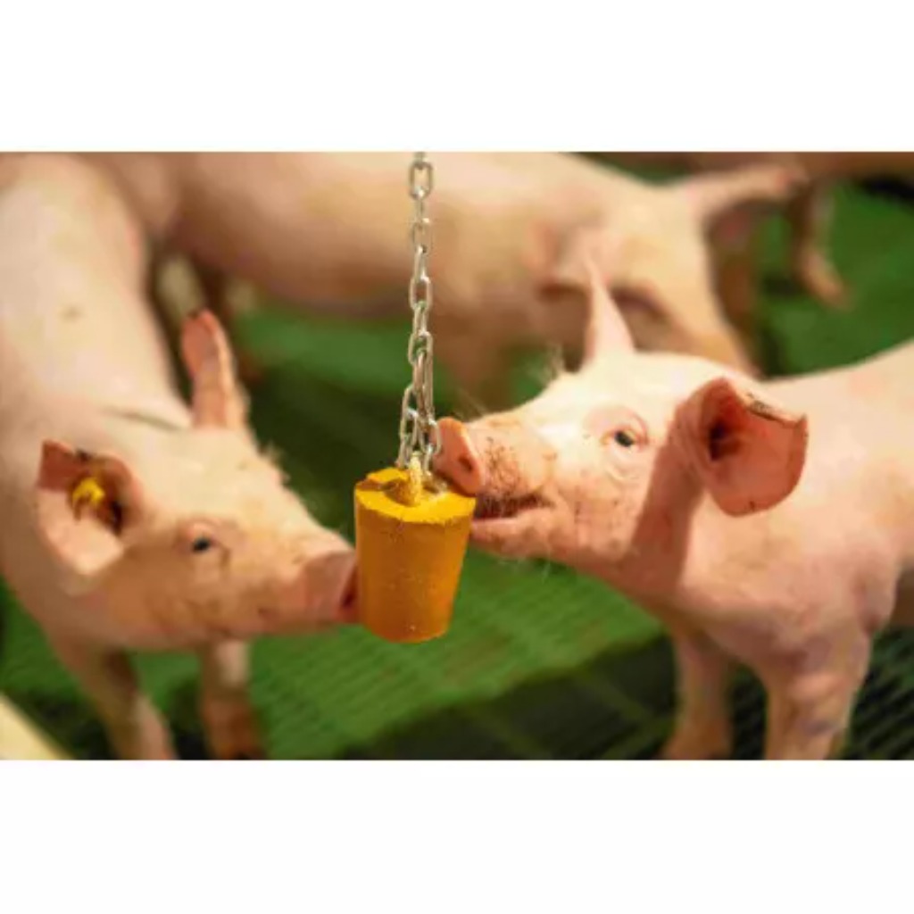 Matériel d'enrichissement pour porcelets QUIET PIG 