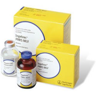 Ingelvac<sup>®</sup> PRRS MLV