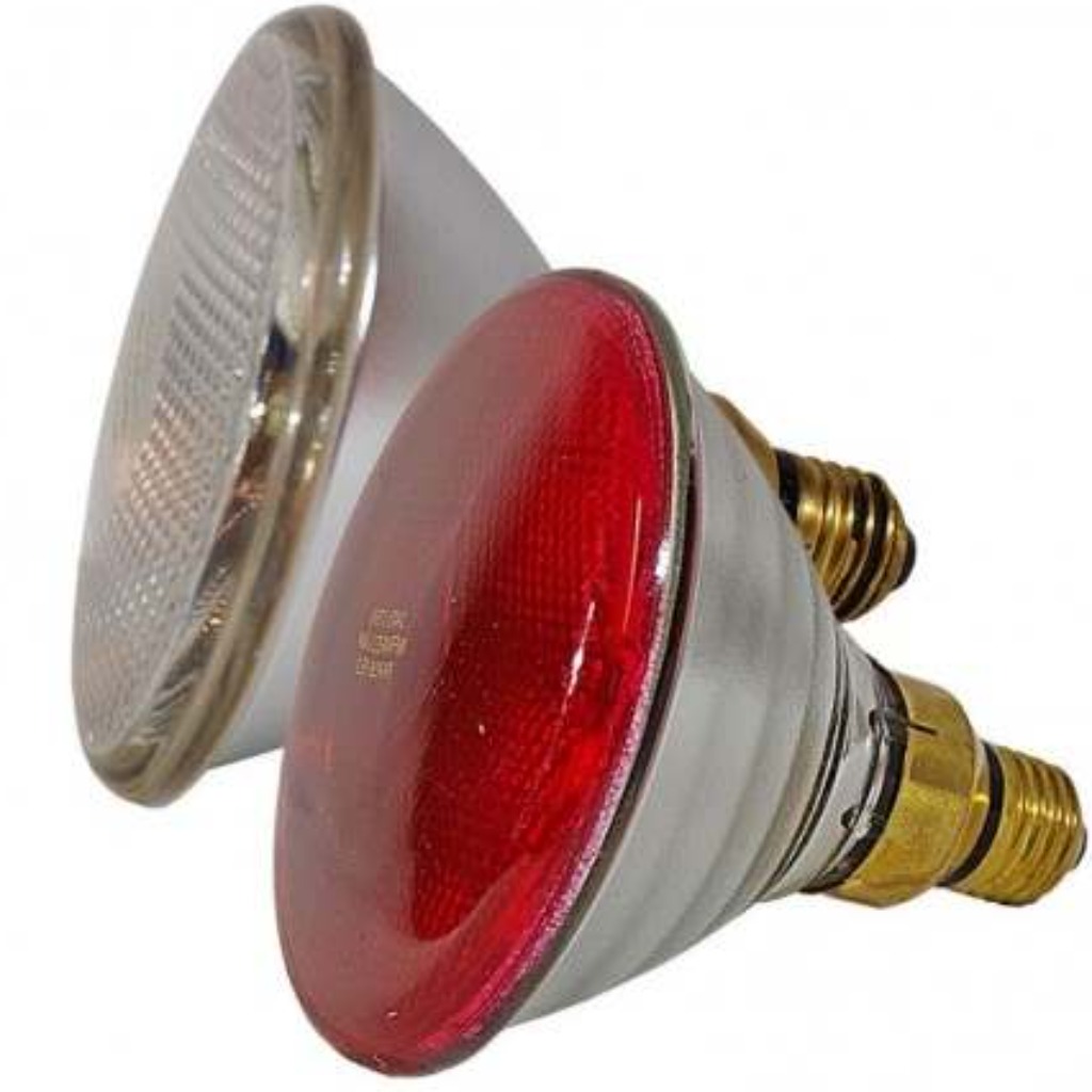 Lampada riscaldante 333 175 W bianco-rosso PAR38