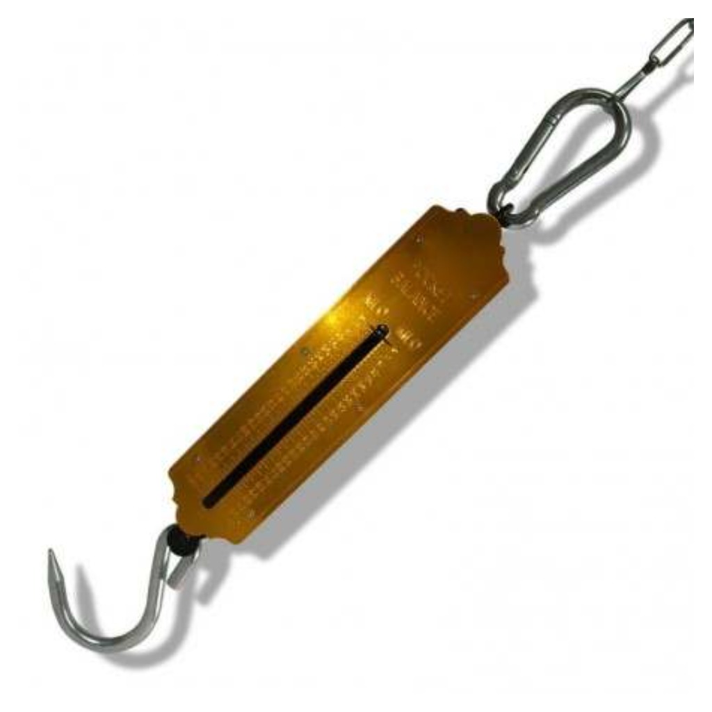 Dinamômetro tubular - 100 kg