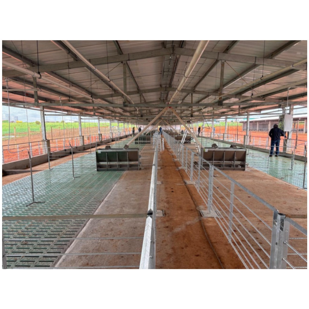 CORRALERIA DESTETE, ENGORDA Y WTF