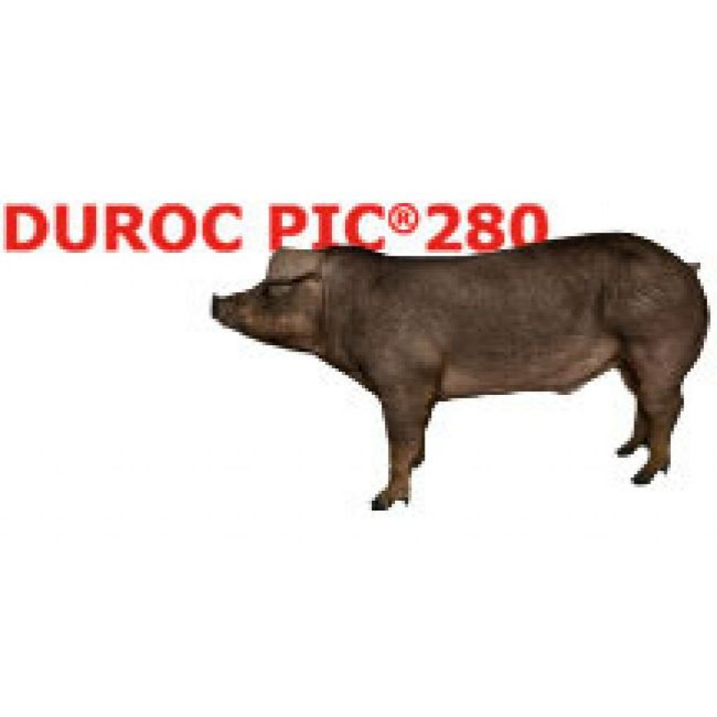 DUROC PIC<sup>®</sup>280