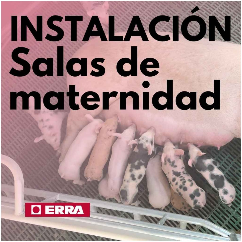 ERRA Maternity wards