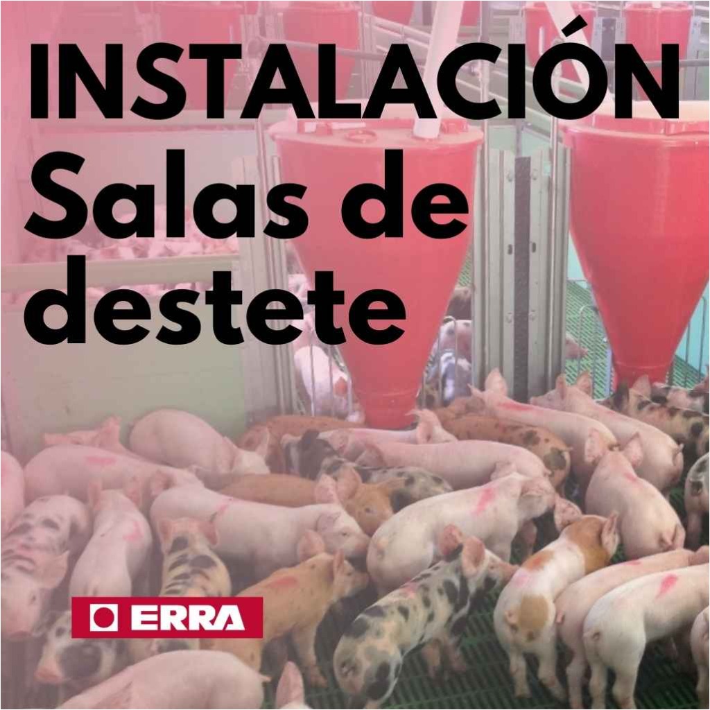 Instalações de desmame ERRA